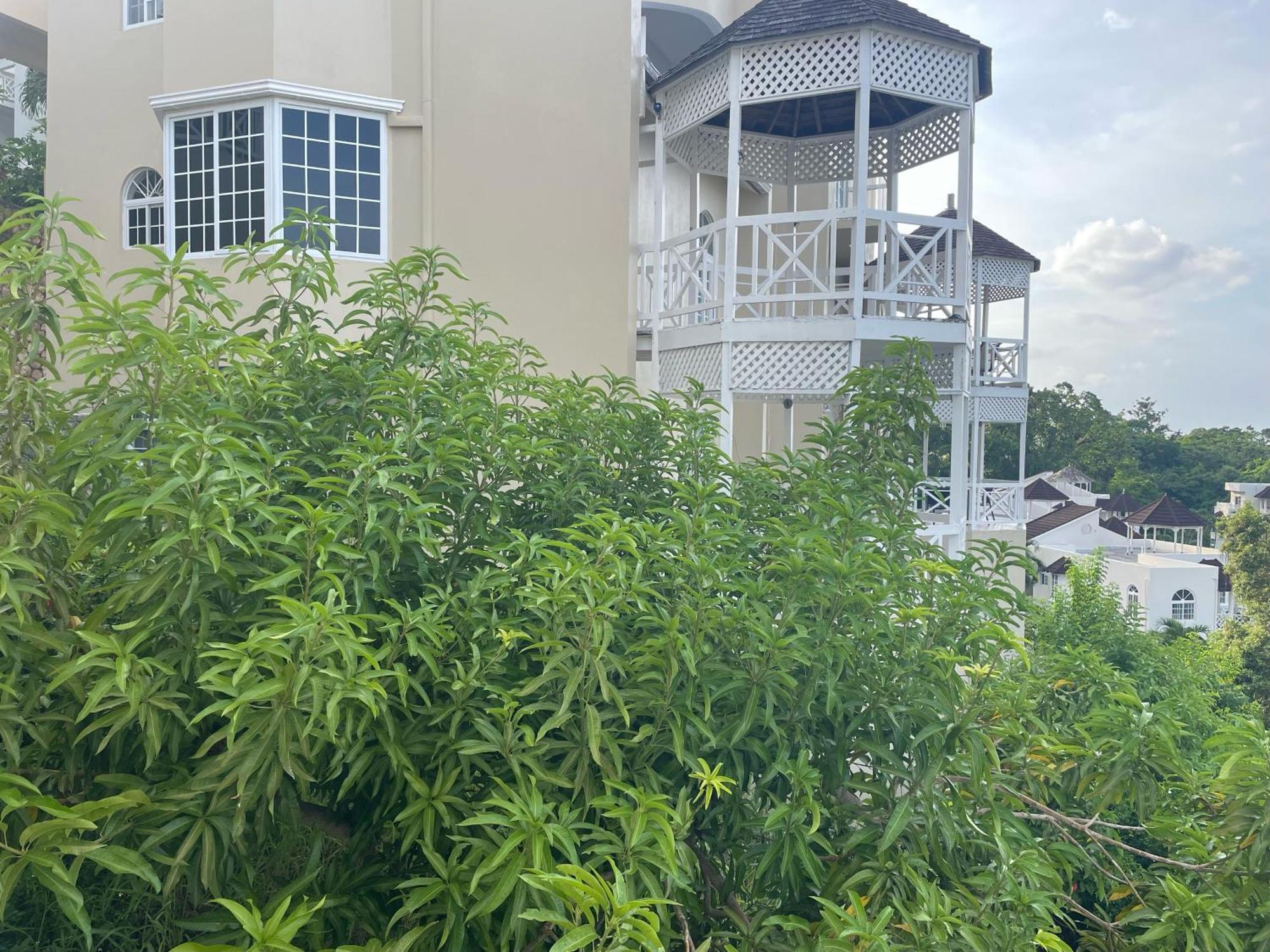 Oceanbreeze Jamaica Penthouse, 7-Minute Walk To Beach أوشو ريوس المظهر الخارجي الصورة
