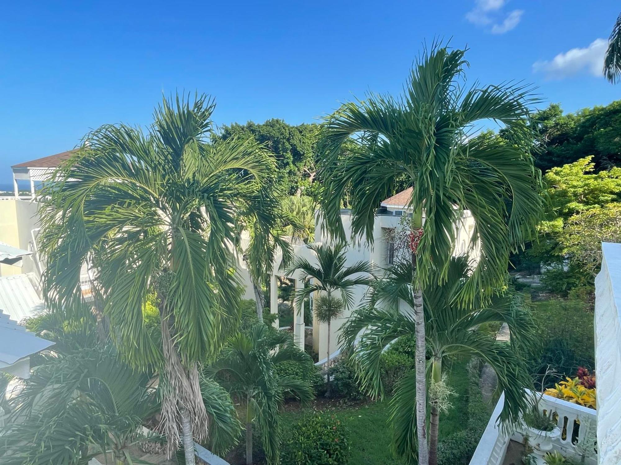 Oceanbreeze Jamaica Penthouse, 7-Minute Walk To Beach أوشو ريوس المظهر الخارجي الصورة
