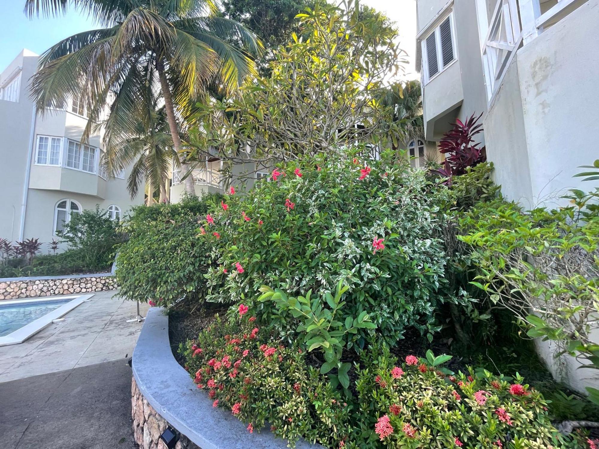 Oceanbreeze Jamaica Penthouse, 7-Minute Walk To Beach أوشو ريوس المظهر الخارجي الصورة